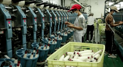 北湖區 訂單追著企業跑，服務圍著企業轉——紡織品產業的轉型與振興