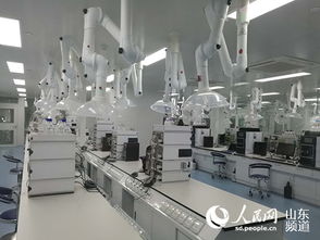 山東羅欣制藥 以創(chuàng)新為翼，打破國(guó)外壟斷，引領(lǐng)醫(yī)藥研發(fā)與國(guó)際水平同步前行